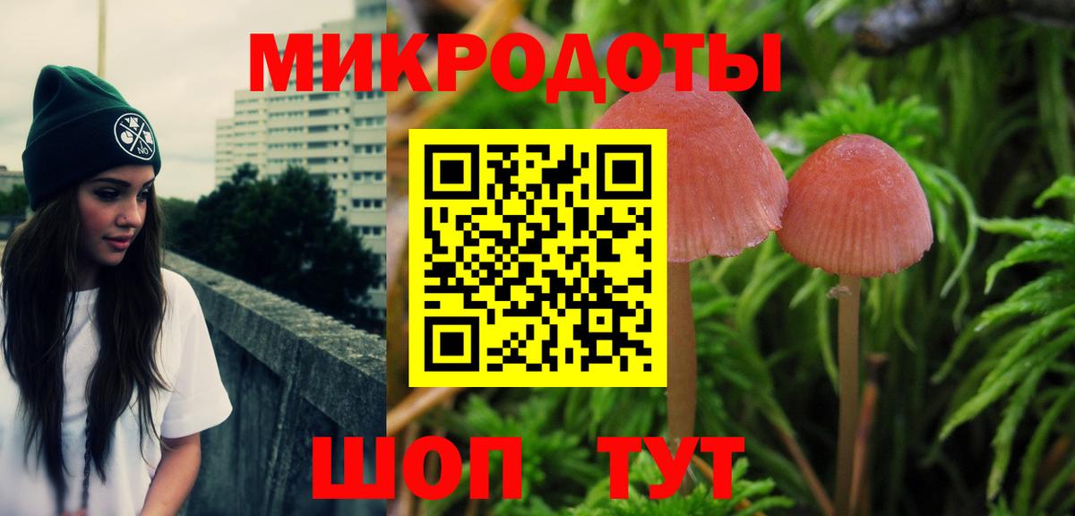 Псилоцибиновые грибы Psilocybine cubensis Новый Уренгой